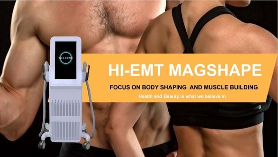 4 Handle RF EMS Machine Professionele EMS Neo Machine voor het vormen van het lichaam