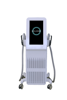 Professionele spierstimulatormachine 2000W EMS-machine voor spiergroei