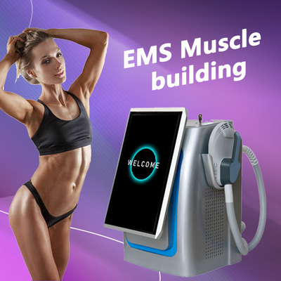 Krachtige EMS Body Sculpting Machine, Magnetische Spierstimulator Pulsatie 300us 5000w