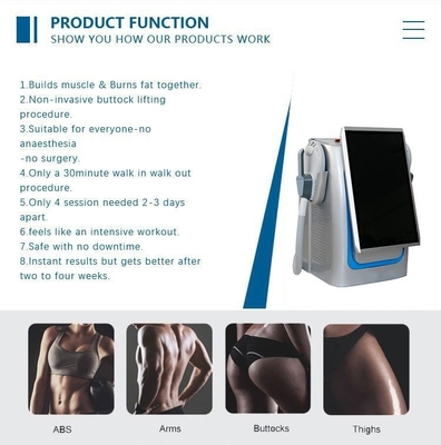 Professional EMS Slimming Machine 2000W Voor Gewichtsverlies Desktop Type
