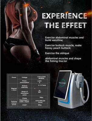 300us EMS-slimming machine staand type hoge intensiteit gericht EMS-lichaamsculptor